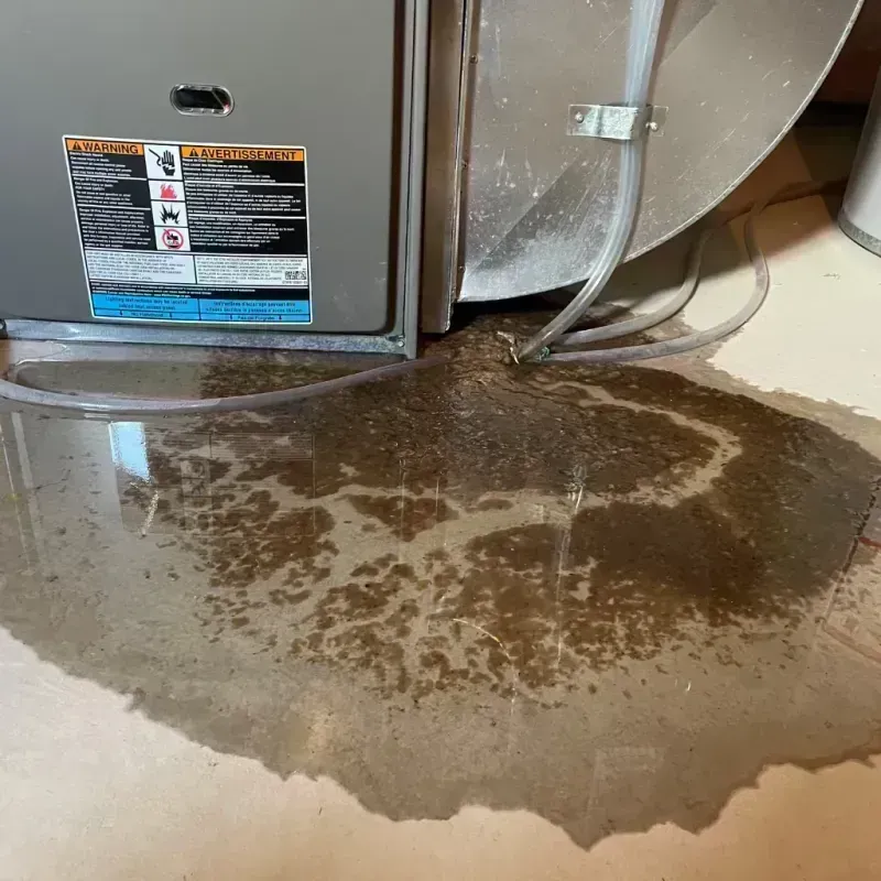 Appliance Leak Cleanup in Madison County, IA